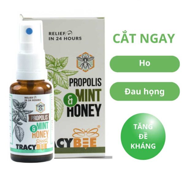 Keo ong xanh (dạng xịt) 30ml - vị bạc hà